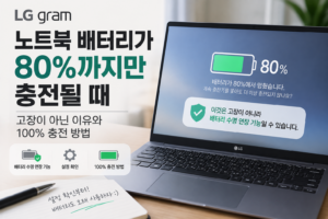 LG 그램 배터리 80% 충전 수명 연장 설정 확인